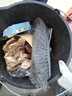 2023-05-31_Kiezputz_und_Dolgenseeplausch_mit_STK_STA_Tag_des_guten_Lebens__2_._20240.jpeg