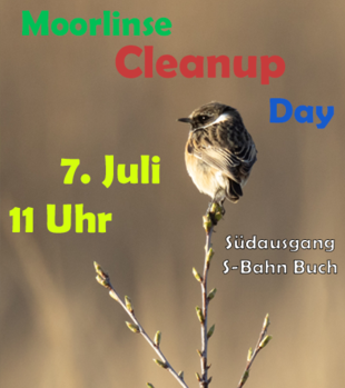 Moorlinse_Cleanup_Day_Juli_23_20257.png