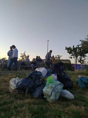 Nature_Clean_Up_1_17089.jpg